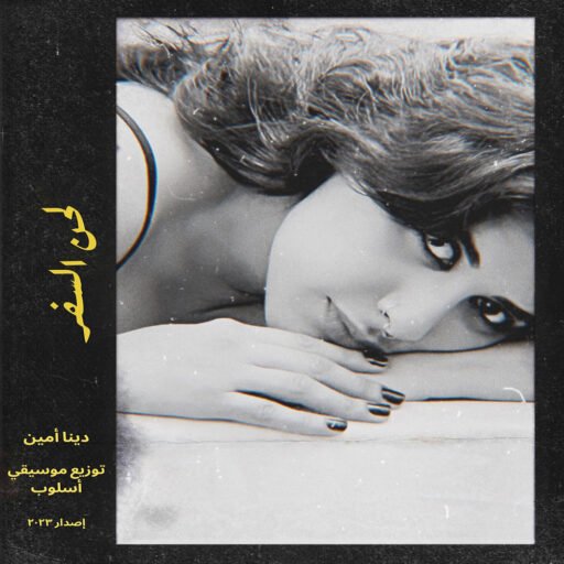 Dina Amine