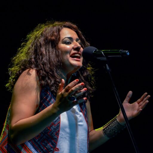 Dina El Wedidi