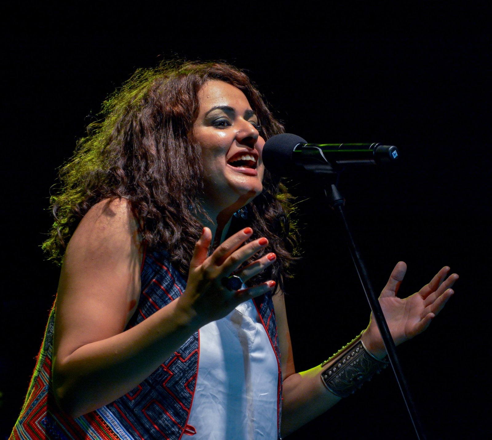 Dina El Wedidi